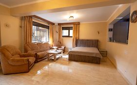 Walter Home Busteni With Private Terrace